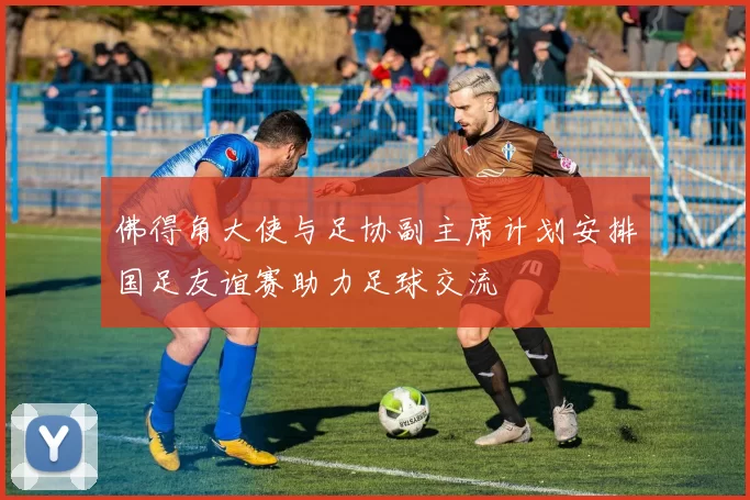 佛得角大使与足协副主席计划安排国足友谊赛助力足球交流