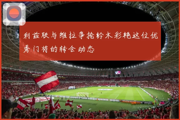 利兹联与维拉争抢铃木彩艳这位优秀门将的转会动态